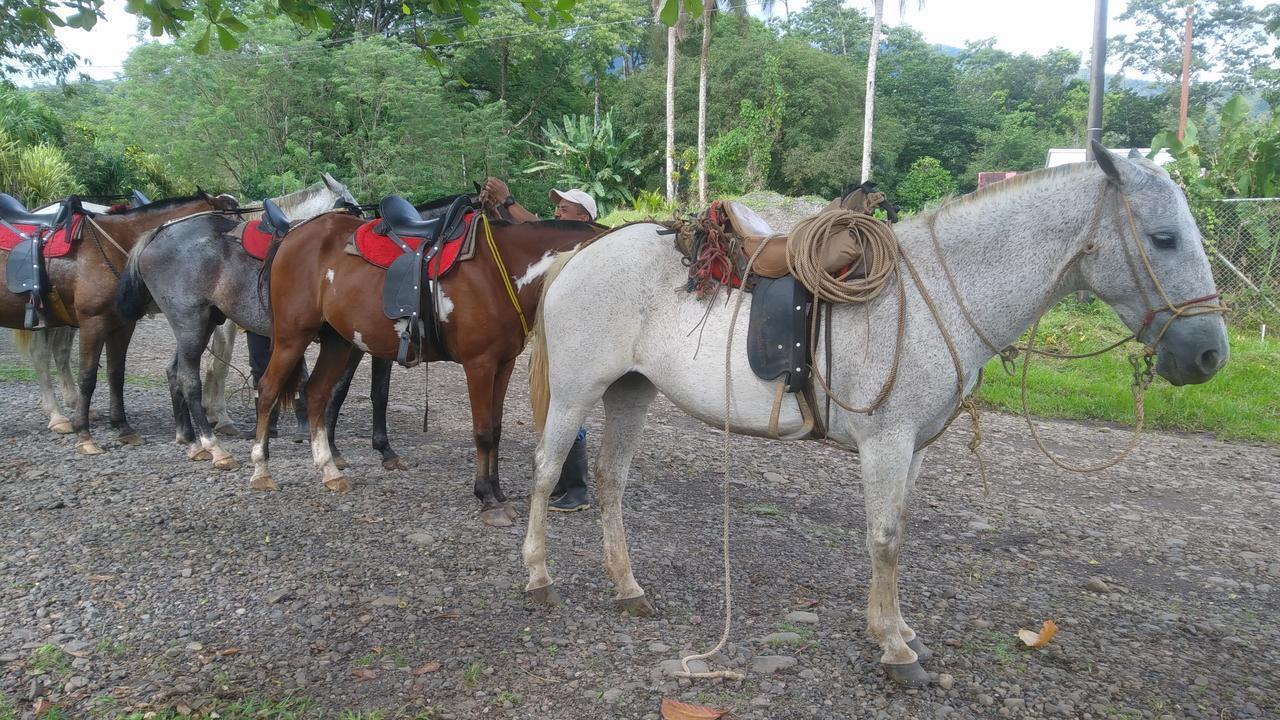 Santa Maria Hotel & Restaurant Hacienda Santa María Екстериор снимка